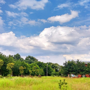 日本老奶奶多毛阴户性高潮视频
